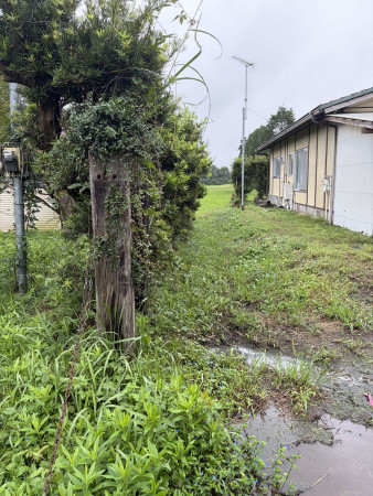長生郡長南町芝原、土地の画像です