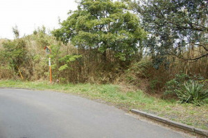 いすみ市岬町、土地の画像です