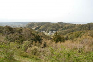 いすみ市岬町、土地の画像です