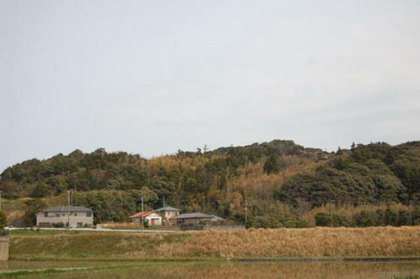 いすみ市岬町、土地の画像です