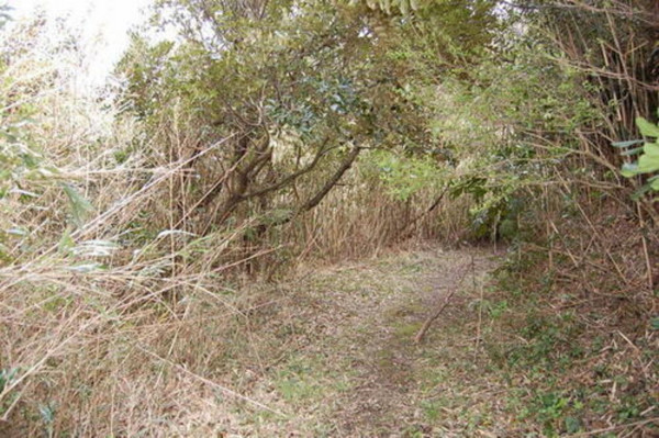 いすみ市岬町、土地の画像です