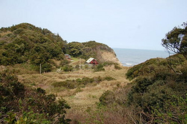 いすみ市岬町、土地の画像です