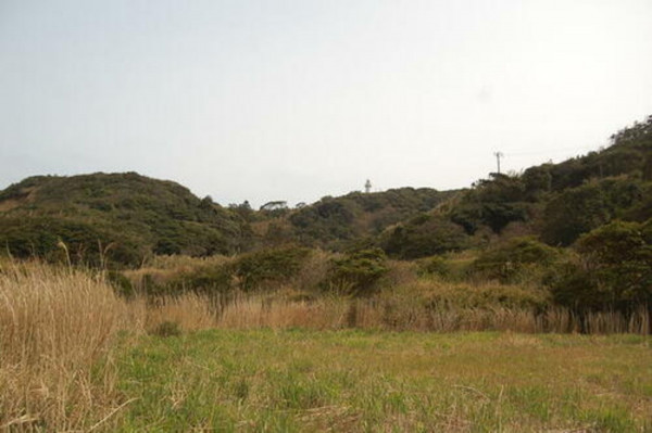 いすみ市岬町、土地の画像です