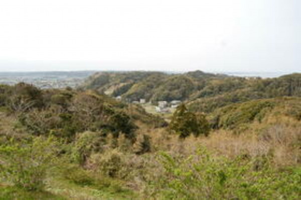 いすみ市岬町、土地の画像です