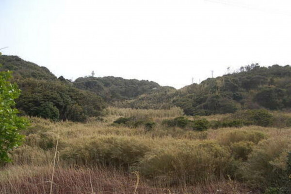 いすみ市岬町、土地の画像です