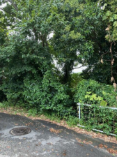 貝塚市名越、土地の画像です