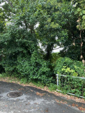 貝塚市名越、土地の画像です