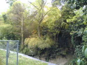 貝塚市森、土地の画像です