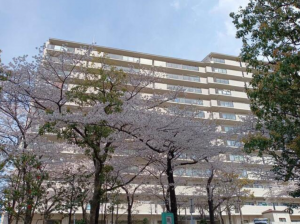貝塚市清児、マンションの画像です
