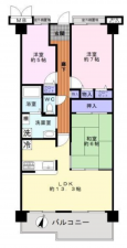 貝塚市清児、マンションの間取り画像です