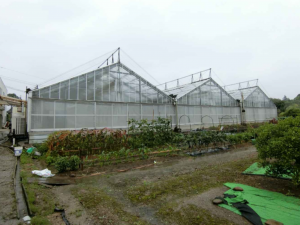 泉佐野市日根野、土地の画像です