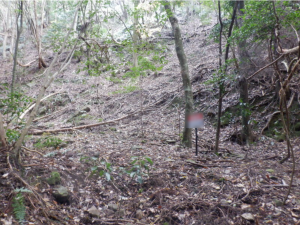 泉佐野市日根野、土地の画像です