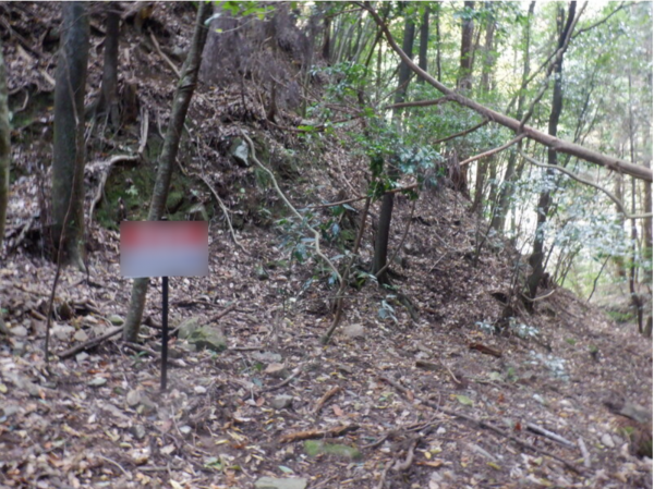 泉佐野市日根野、土地の画像です
