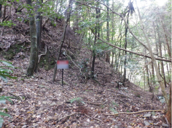泉佐野市日根野、土地の画像です