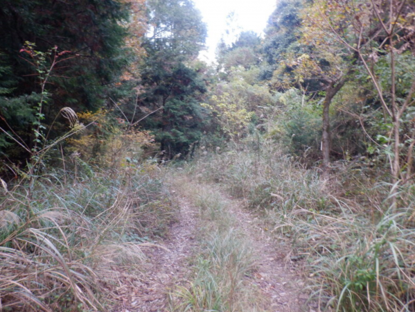 泉佐野市日根野、土地の画像です