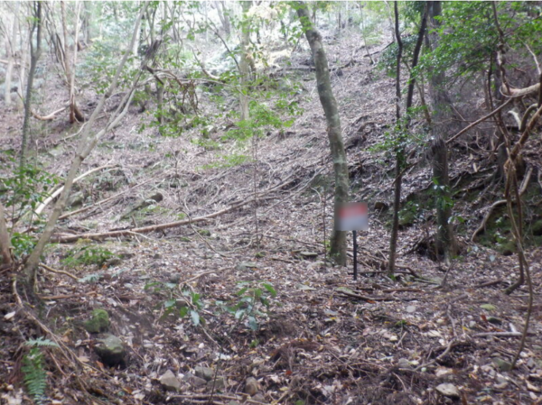 泉佐野市日根野、土地の画像です
