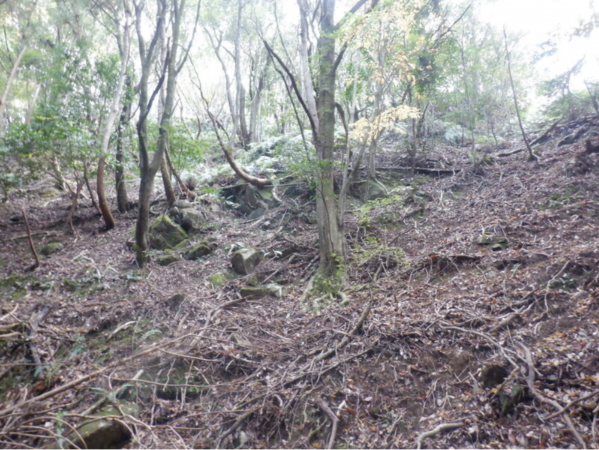 泉佐野市日根野、土地の画像です