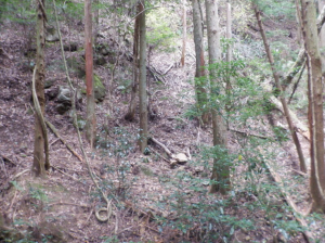 泉佐野市日根野、土地の画像です