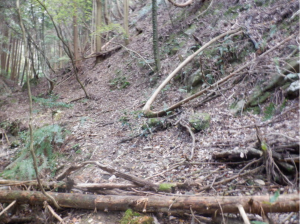 泉佐野市日根野、土地の画像です