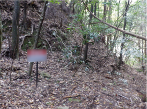 泉佐野市日根野、土地の画像です