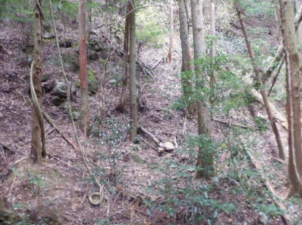 泉佐野市日根野、土地の画像です