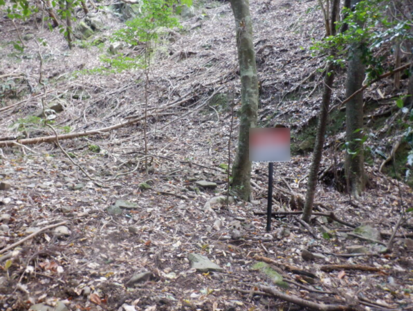 泉佐野市日根野、土地の画像です