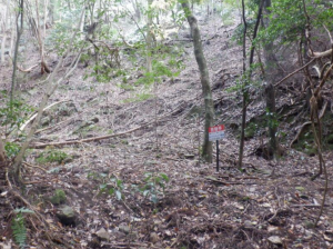 泉佐野市日根野、土地の画像です