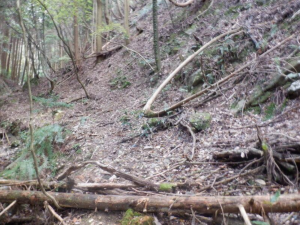 泉佐野市日根野、土地の画像です