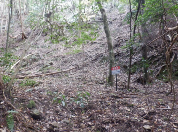 泉佐野市日根野、土地の画像です
