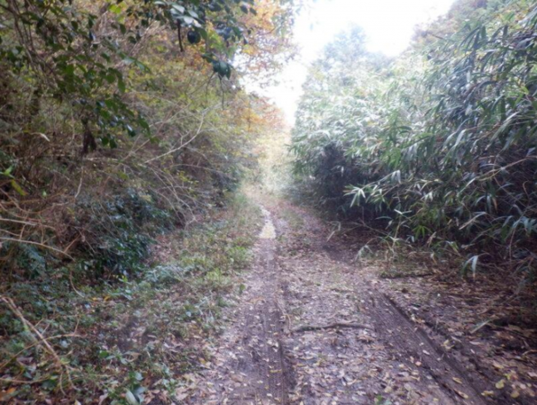 泉佐野市日根野、土地の画像です