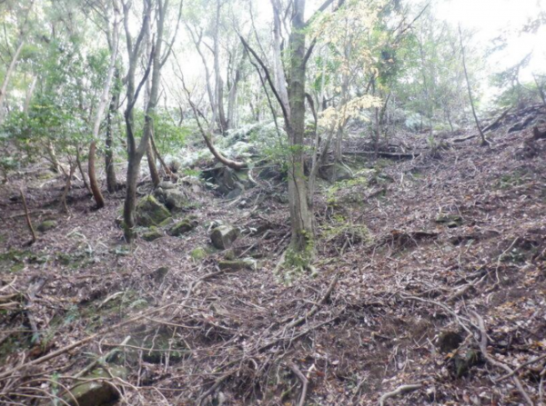 泉佐野市日根野、土地の画像です