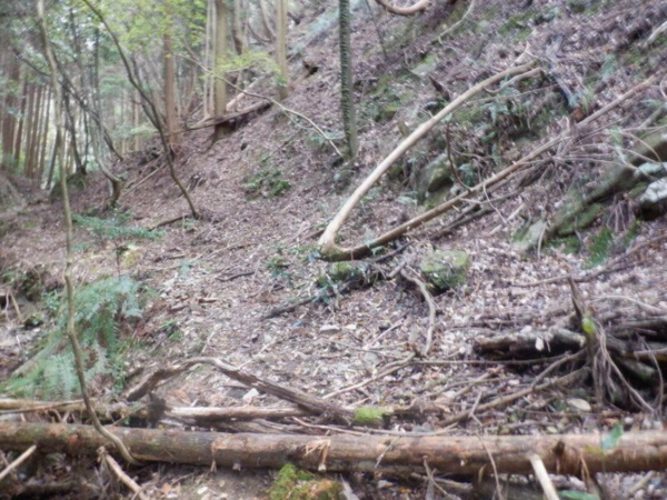 泉佐野市日根野、土地の画像です