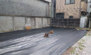 泉佐野市湊、土地の画像です