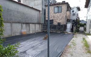 泉佐野市湊、土地の画像です