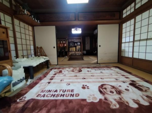 泉佐野市市場西、中古一戸建ての画像です