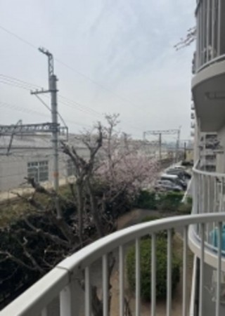 泉佐野市羽倉崎、マンションの画像です