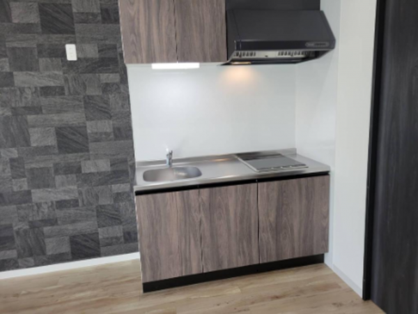 泉佐野市元町、収益物件/アパートの画像です