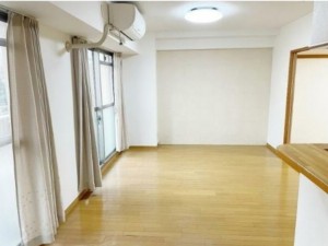 泉南郡熊取町大久保南、マンションの画像です