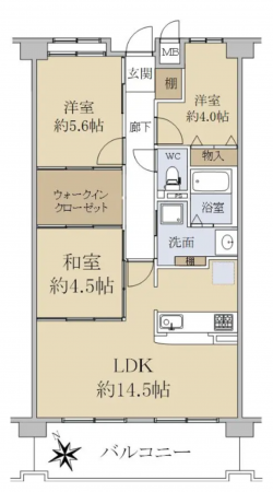 貝塚市窪田、マンションの間取り画像です
