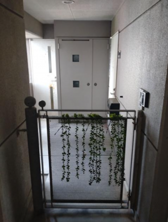 貝塚市二色、マンションの画像です