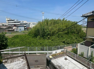 泉南郡熊取町東和苑、中古一戸建ての画像です