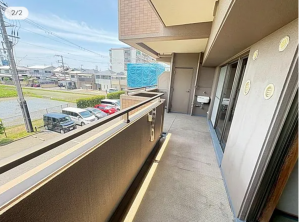 貝塚市福田、マンションの画像です