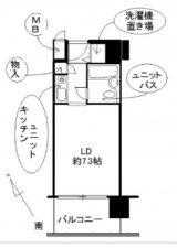 岸和田市上野町東、マンションの間取り画像です