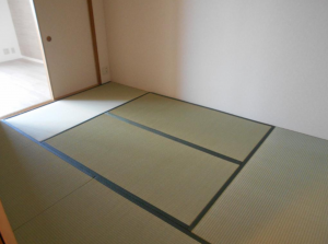 岸和田市港緑町、マンションの画像です