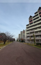 岸和田市港緑町、マンションの画像です