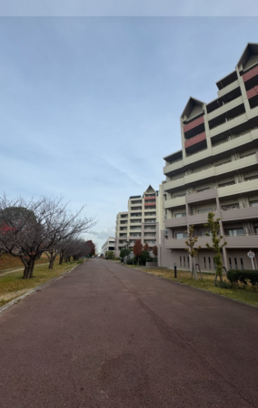 岸和田市港緑町、マンションの画像です