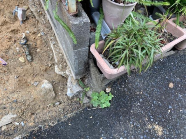 岸和田市池尻町、土地の画像です