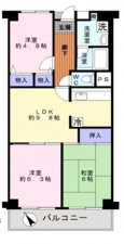 泉佐野市羽倉崎、マンションの間取り画像です