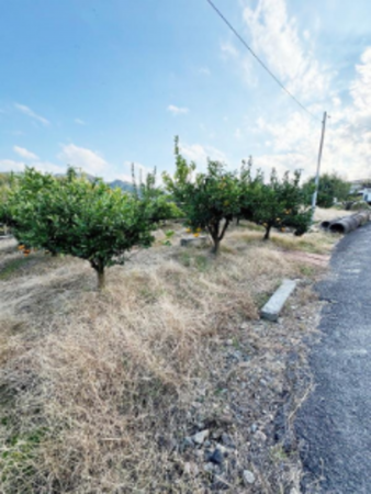 岸和田市阿間河滝町、土地の画像です