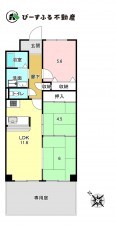 岸和田市磯上町、マンションの間取り画像です